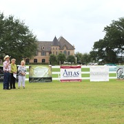 2013 Egyptian Breeders Classic