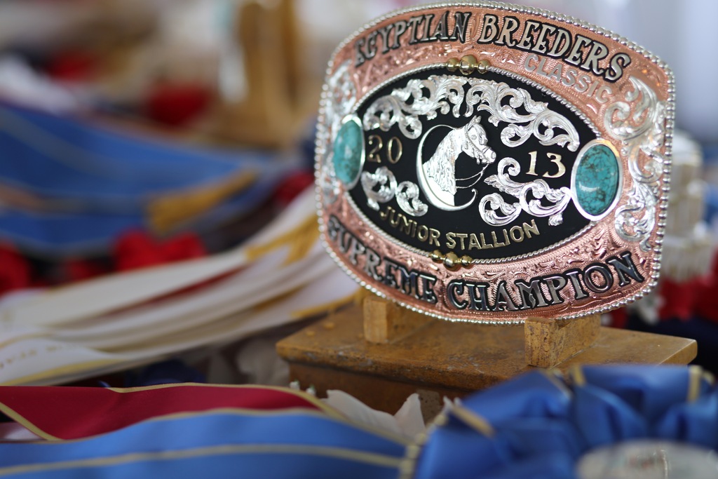 2013 Egyptian Breeders Classic