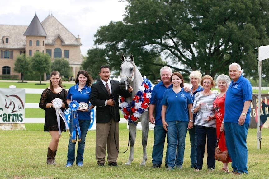 2013 Egyptian Breeders Classic
