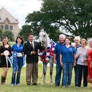 2013 Egyptian Breeders Classic