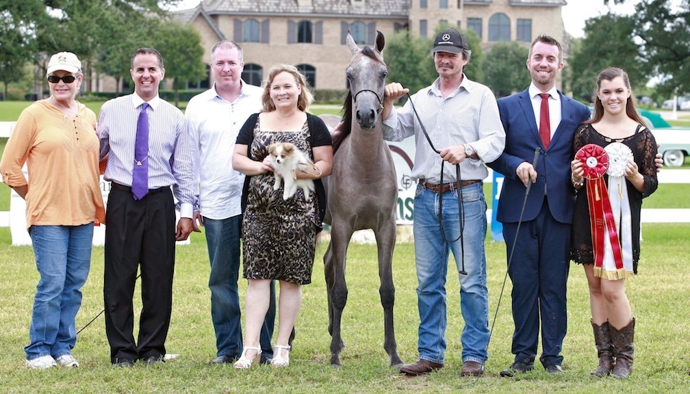 2013 Egyptian Breeders Classic