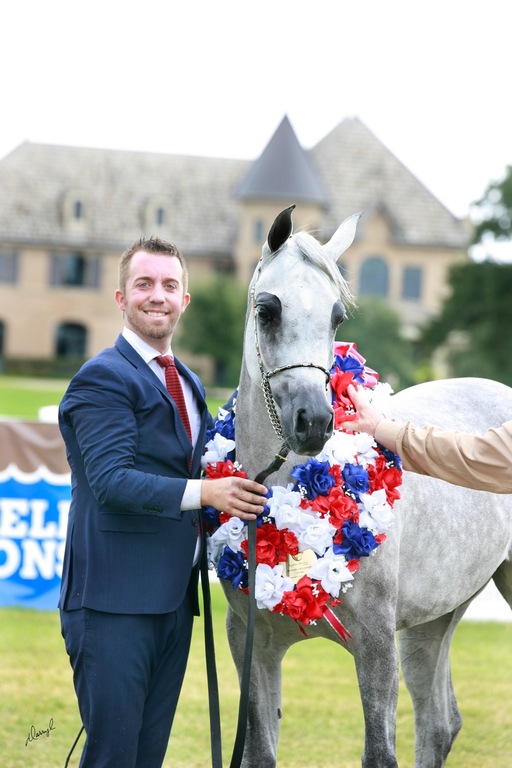 2013 Egyptian Breeders Classic