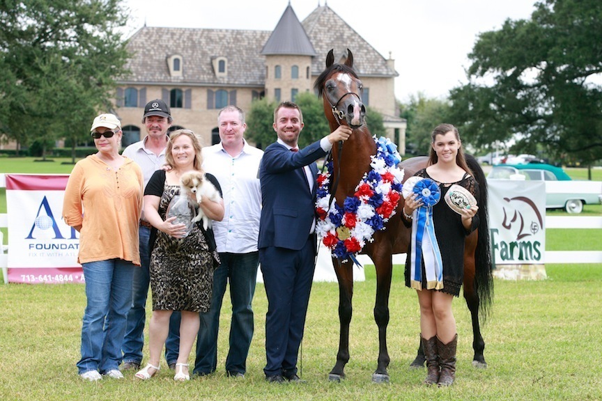 2013 Egyptian Breeders Classic