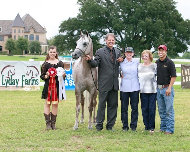 2013 Egyptian Breeders Classic