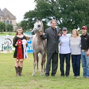 2013 Egyptian Breeders Classic