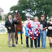 2013 Egyptian Breeders Classic