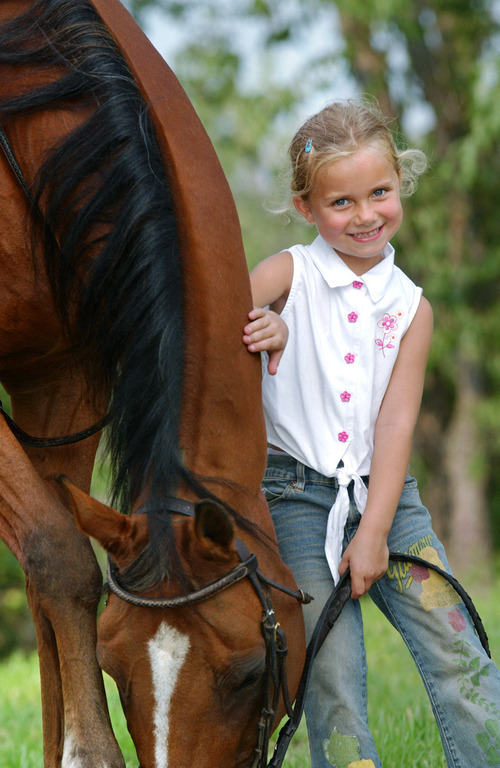 Rooker Training Stable