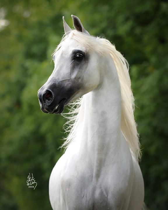Rooker Training Stable