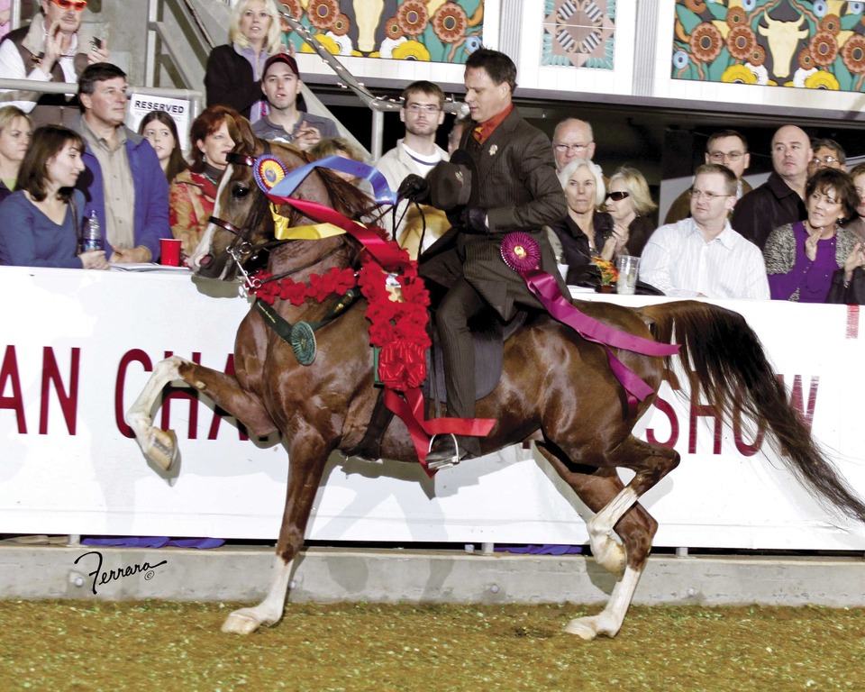 Rooker Training Stable