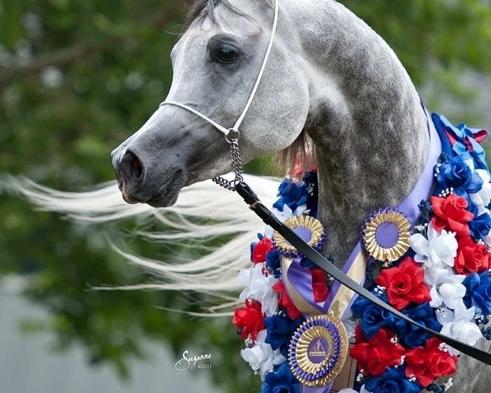 Rivero International