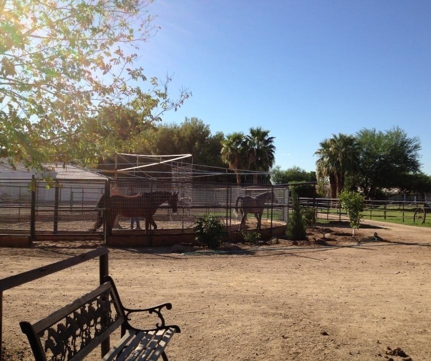 Rivero International