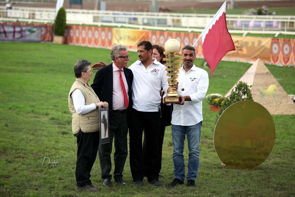 Straight Egyptian Arabian Horse World Championship 2013