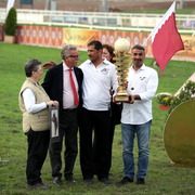 Straight Egyptian Arabian Horse World Championship 2013