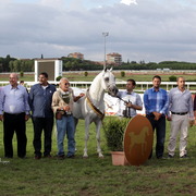 Straight Egyptian Arabian Horse World Championship 2013