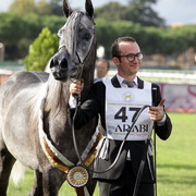 Straight Egyptian Arabian Horse World Championship 2013