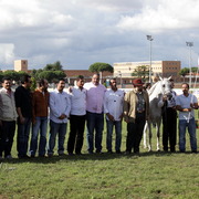 Straight Egyptian Arabian Horse World Championship 2013