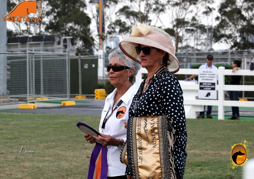 2013 Arabian Showcase @ Equitana Australia 