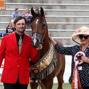 2013 Arabian Showcase @ Equitana Australia 