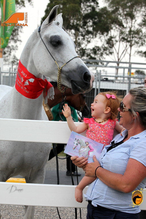 2013 Arabian Showcase @ Equitana Australia 