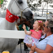 2013 Arabian Showcase @ Equitana Australia 