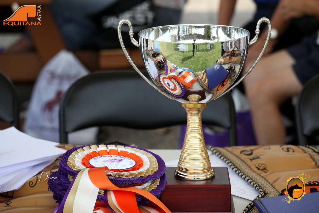 2013 Arabian Showcase @ Equitana Australia 