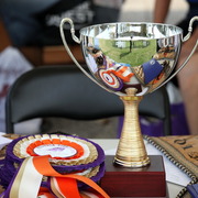 2013 Arabian Showcase @ Equitana Australia 