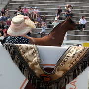 2013 Arabian Showcase @ Equitana Australia 