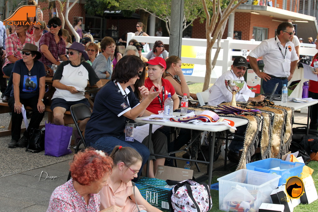 2013 Arabian Showcase @ Equitana Australia 