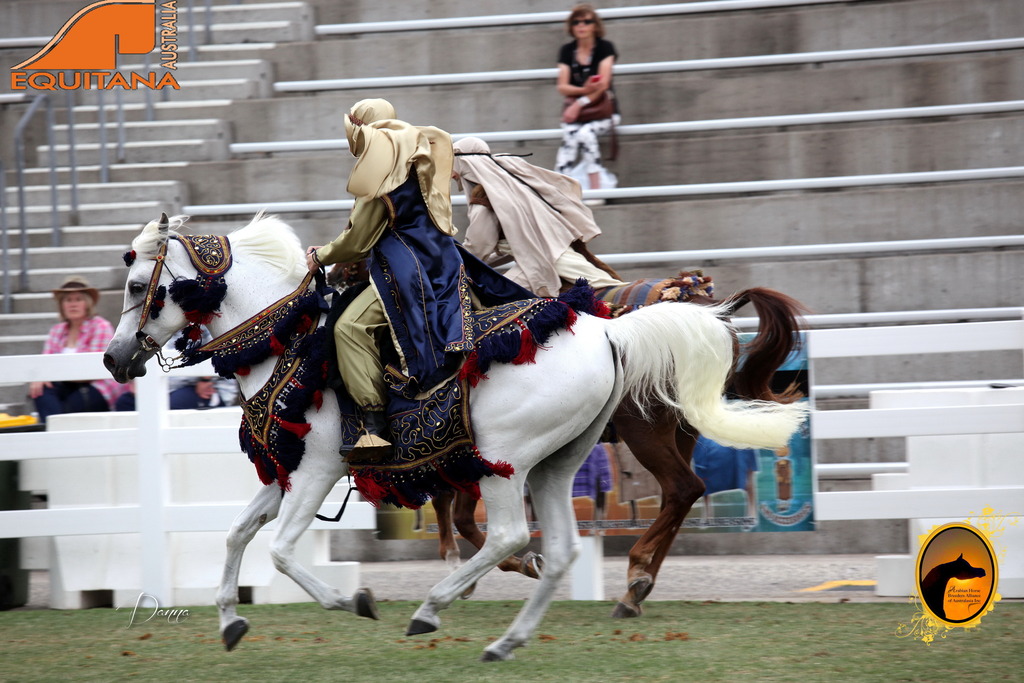 2013 Arabian Showcase @ Equitana Australia 