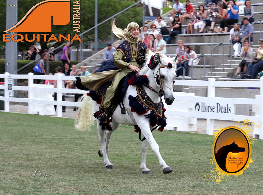 2013 Arabian Showcase @ Equitana Australia 