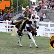 2013 Arabian Showcase @ Equitana Australia 