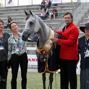 2013 Arabian Showcase @ Equitana Australia 