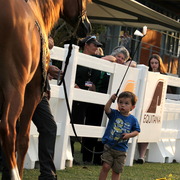 2013 Arabian Showcase @ Equitana Australia 