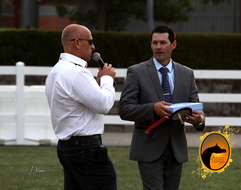 2013 Arabian Showcase @ Equitana Australia 