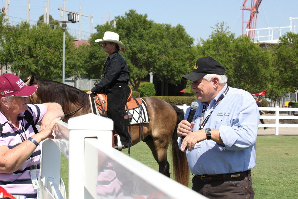 2013 Arabian Showcase @ Equitana Australia 