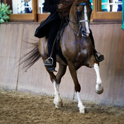 2013 Brazilian Nationals