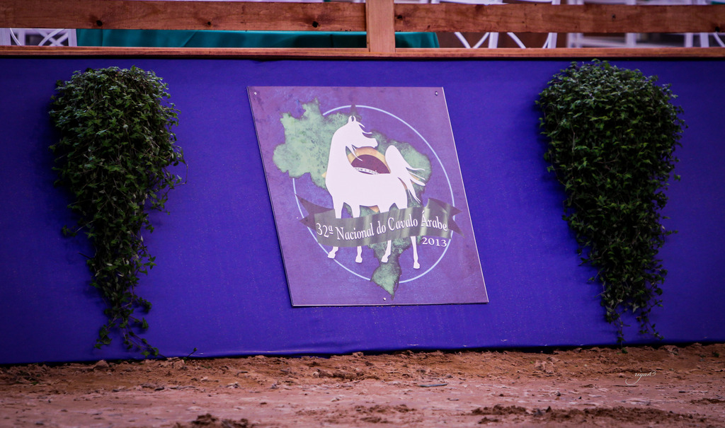 2013 Brazilian Nationals