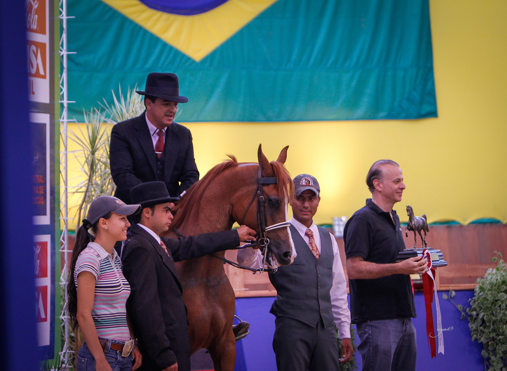 2013 Brazilian Nationals