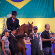 2013 Brazilian Nationals