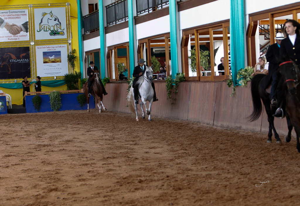 2013 Brazilian Nationals