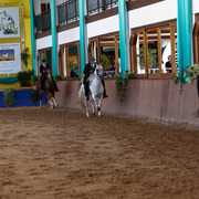 2013 Brazilian Nationals