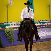 2013 Brazilian Nationals