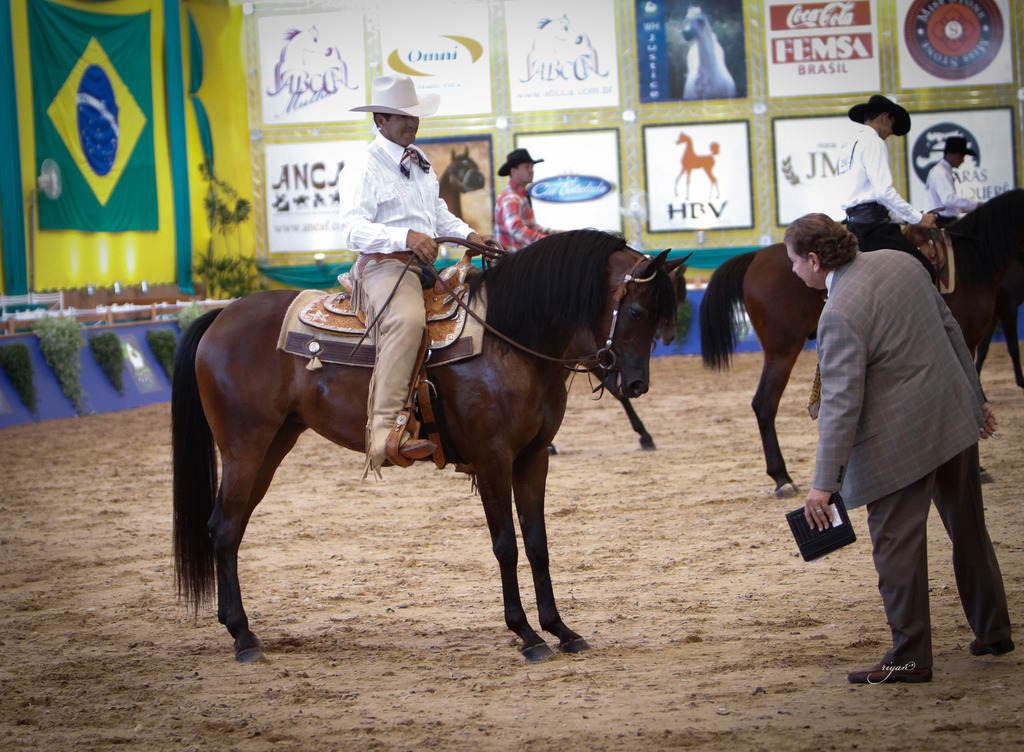 2013 Brazilian Nationals