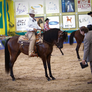 2013 Brazilian Nationals