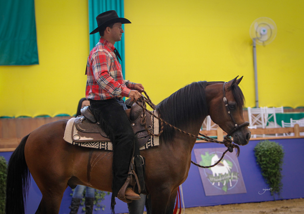 2013 Brazilian Nationals