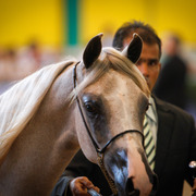 2013 Brazilian Nationals