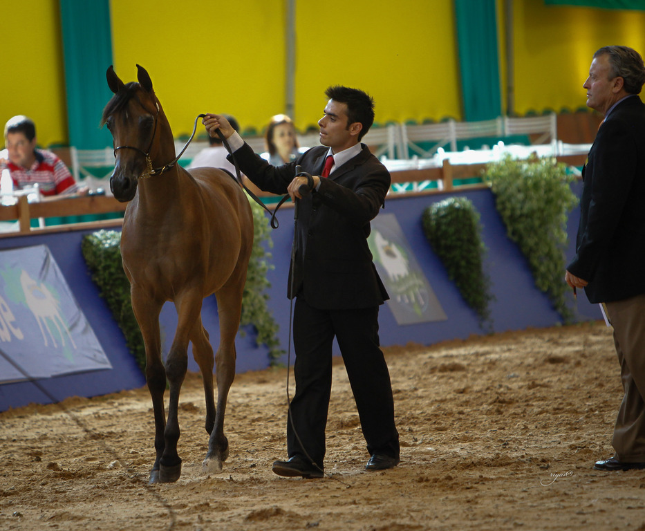 2013 Brazilian Nationals