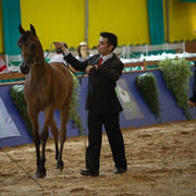 2013 Brazilian Nationals