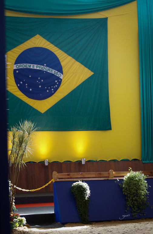 2013 Brazilian Nationals