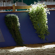 2013 Brazilian Nationals